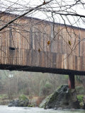Tree Branch Detail with Covered Bridge in Background  California