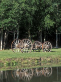 Wagon Wheels Reflecting in a Pond at Chena Hot Springs  Alaska