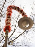 Street Lamp Decorated with Candy Cane Decor  California