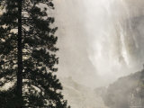 Upper Yosemite Falls and Pine Tree in the Winter  California