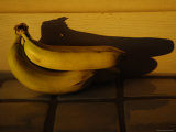 The Sun Shines on a Group of Bananas in the Kitchen  New Mexico