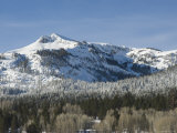 Snow Covered Trees and Mountain on a Bluebird Day  California