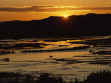 Twilight over Marshes  Genghis Khan Coverage