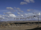 Wash Line in the Desert  Arizona
