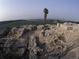 Wide Shot of the Armagedden Plains in Tel Megido  Israel