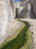 Water from the Oasis Drying Up in the Sand  Joshua Tree National Park  California