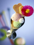 Strawberry  Pistachio & Chocolate Ice Cream  Cream & Wafers