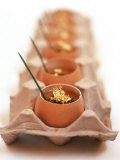 Egg Cocotte: Egg Mousse in Fish Jelly
