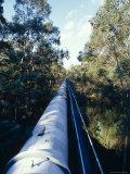 Water Pipe for Irrigation  Yellingbo Nature Reserve  Australia