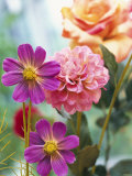Cosmos  Dahlias and Roses (Fabric Flowers)