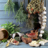 Still Life: Drying Herbs and