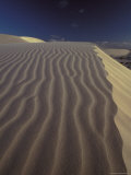 Wind Blown Sand Ripples Across a Golden Sand Dune Crest at Sunset  Australia