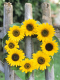 A Wreath of Sunflowers Hanging on a Fence