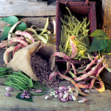 Still Life with Various Types of Beans