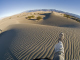 Walking in the Sand at the Sand Dunes near Stovepipe Wells  California