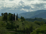 Villa on the Side of a Hill  Asolo  Italy