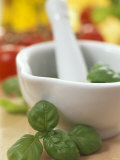 Basil in a Mortar