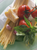 Still Life with Spaghetti  Tomatoes  Basil & Parmesan