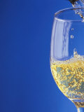 Sparkling Wine Effervescing as It is Poured into a Glass