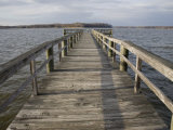 Weathered Pier Leads to the Chesapeake Bay
