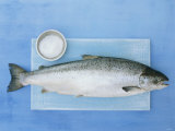 Salmon with a Dish of Sea Salt