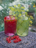 Redcurrant Liqueur & Herb Oil with Dill on Table in Open Air