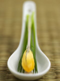 Asian Soup Spoon with Yellow Flower