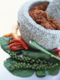 Curry Paste in a Mortar and Assorted Spices