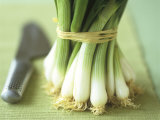 A Bunch of Spring Onions