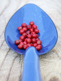 Pink Pepper in Blue Spoon