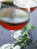 Two Glasses of Pinot Noir