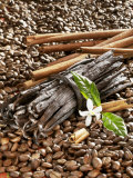 Coffee Beans  Vanilla Pods and Cinnamon Sticks