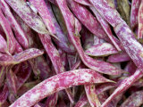 Borlotti Beans