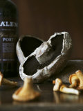 Various Types of Mushrooms in Front of Port Wine Bottle