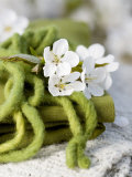 Cherry Blossom on a Felted Cord