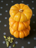 Three Baby Pumpkins in a Pile  Pumpkin Seeds