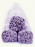Three Packs of Buckwheat Noodles