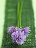 Flowering Chives