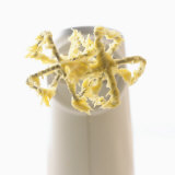 Mixer with Scraps of Cake Mixture