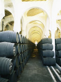 La Mezquita Winery (Jerez de la Frontera  Spain)