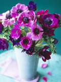 Purple Anemones in a Vase