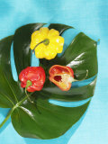 Red and Yellow Habanero Chillies