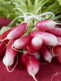 A Bunch of Radishes