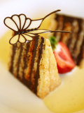 Piece of Japanese Chocolate Cake with Butterfly
