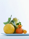 Still Life with Citrus Fruits