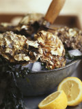 Fresh Oysters and Lemon