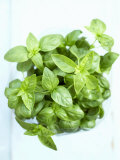A Pot of Basil