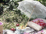 Outdoor Picnic with Salami Sandwiches