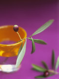 Olive Sprig with Olive in a Glass