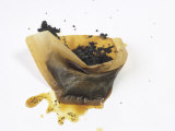 Filter Paper with Coffee Grounds